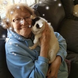 Meet your Posher, Kay